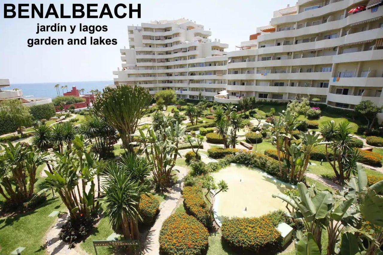 Estudio Benalbeach Primera Linea De Playa Apartamento *