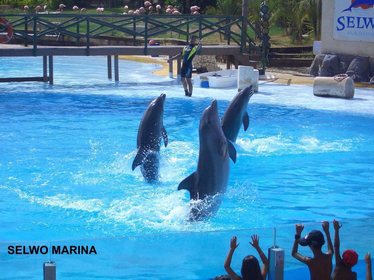 Apartamento Estudio Benalbeach Primera Linea De Playa Benalmádena